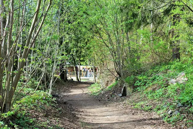 Områdebilde fra Ullernkollen barnehage.