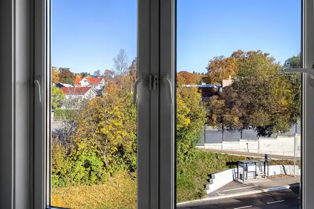 Detaljbilde utsyn.