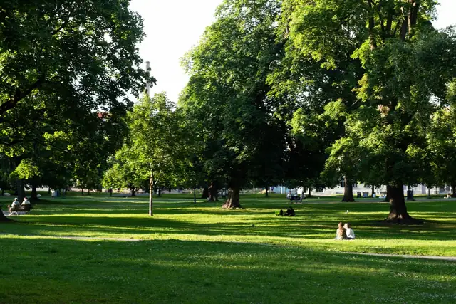 Løkka-livet er også synonymt med late dager i gresset i de mange flotte parkene, gjerne med en god bok eller noe godt å drikke sammen med gode venner. I tillegg til Sofienbergparken, Birkelunden og Olaf Ryes plass, er også Grünerhagen Park og Kuba flotte