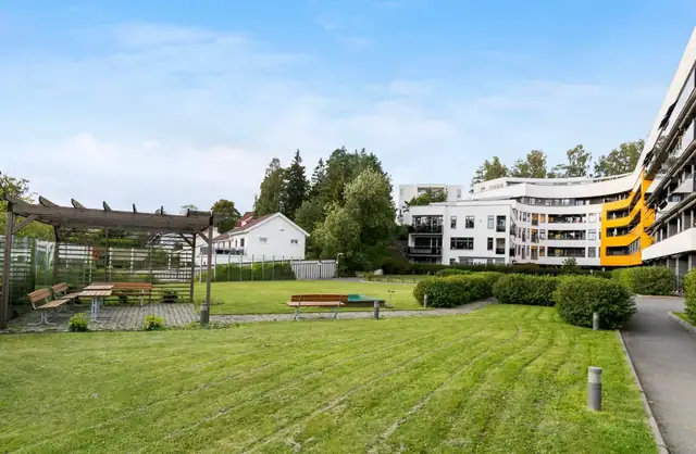 Sameiet har en stor og fin fellestomt, pent opparbeidet med beplantning, gressplen, sittegrupper m.m.